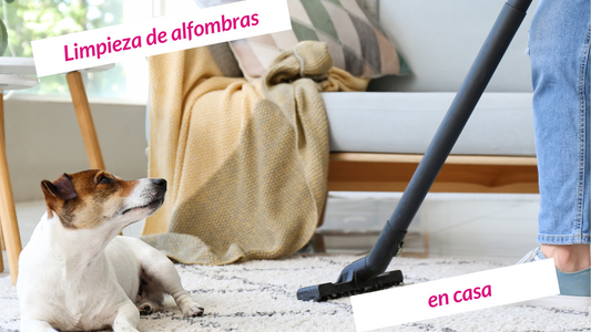 Nuestro Método para Limpiar tus Alfombras en Casa